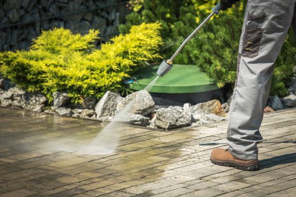 Best Gutter Cleaning  in Gaylord, MN