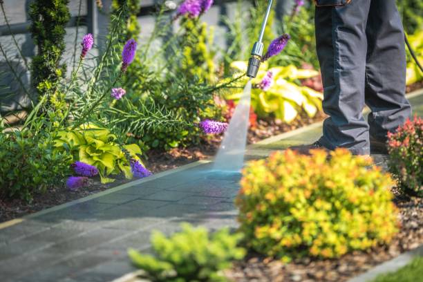 Best Boat and Dock Cleaning  in Gaylord, MN