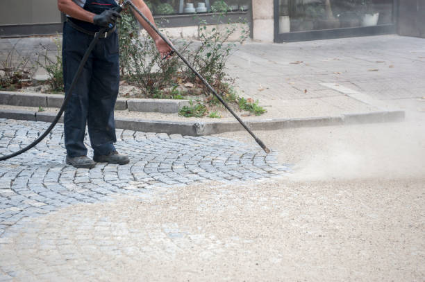 Best Concrete Sealing  in Gaylord, MN