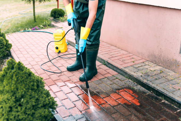 Best Driveway Pressure Washing  in Gaylord, MN