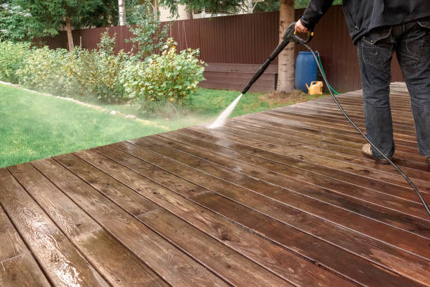 Best Animal Enclosure Cleaning  in Gaylord, MN