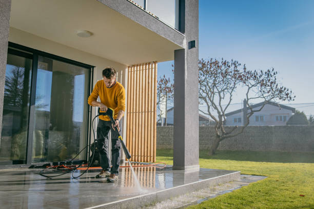 Best Fence Cleaning  in Gaylord, MN