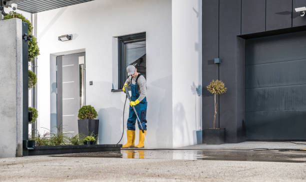 Best Sidewalk and Walkway Cleaning  in Gaylord, MN