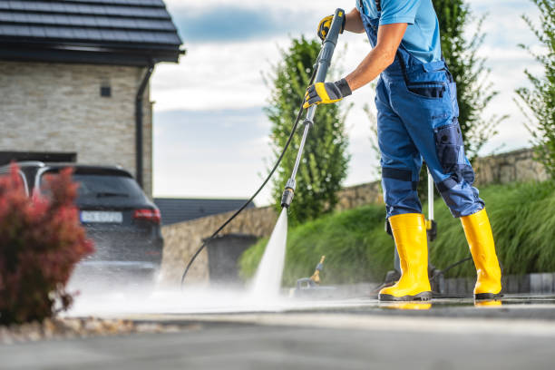 Best House Exterior Washing  in Gaylord, MN